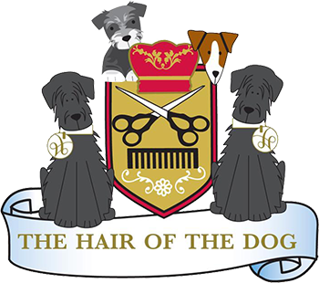 hair of the dog salon